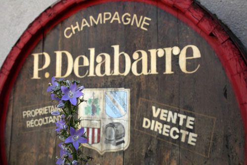 Maison de Champagne Delabarre à Vandières